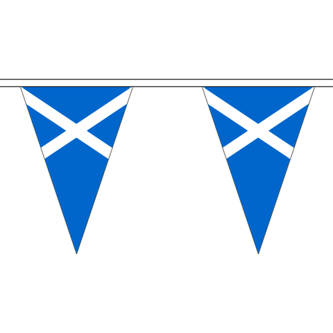 Triangular Scotland (Light Blue) Bunting