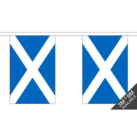 Rectangular Scotland (Light Blue) Bunting