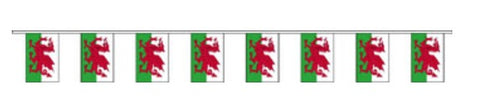 Euros Fabric Bunting - Wales Flag