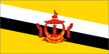 Brunei Darussalam National Flag Printed Flags - United Flags And Flagstaffs