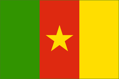 Cameroon National Flag Printed Flags - United Flags And Flagstaffs