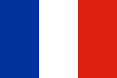France National Flag Printed Flags - United Flags And Flagstaffs