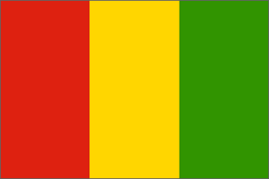 Guinea National Flag Sewn Flags - United Flags And Flagstaffs