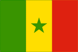 Senegal National Flag Sewn Flags - United Flags And Flagstaffs