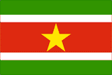 Suriname National Flag Sewn Flags - United Flags And Flagstaffs