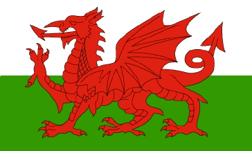 Wales (Welsh Dragon) National Flag Printed Flags - United Flags And Flagstaffs